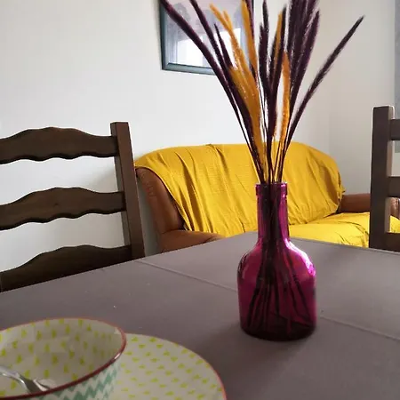 La Canotte 2* Saint-Julien-en-Born